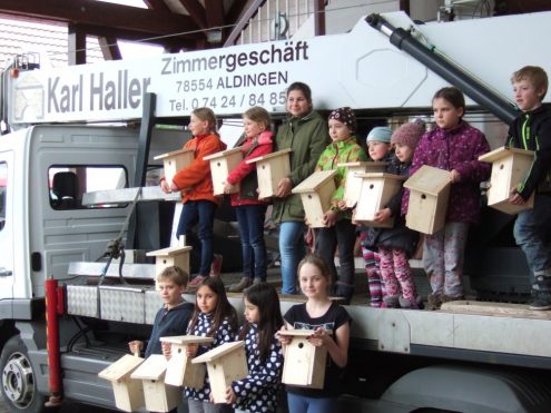 Nistkastenbau 2017