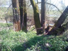 img_20170409_155945